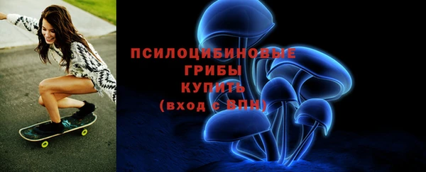 PSILOCYBIN Алексин