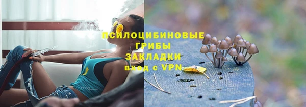 PSILOCYBIN Алексин