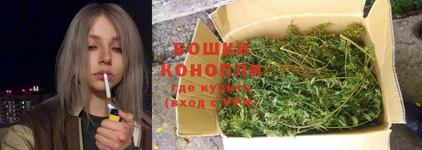 PSILOCYBIN Алексин