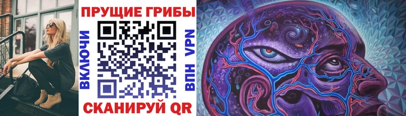 Галлюциногенные грибы Psilocybe  где купить наркотик  Арамиль 
